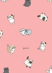 neko combo1 - coral