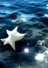夜の月 月の海 #4jbg_20。
