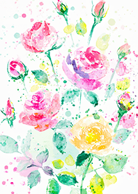 Beautiful rose flower(R4093)