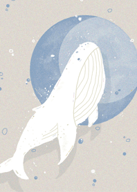 white whale