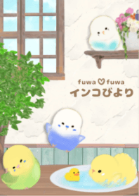 fuwa fuwa インコびより①