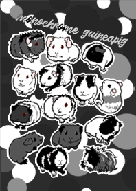 Monochrome Guineapig