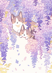 Corgi among wisteria flowers
