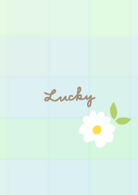 Daisy Check patterns22 from Japan