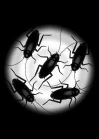 Black Cockroach+