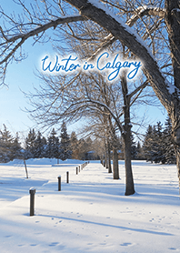 Winter in Calgary (12)