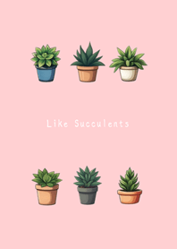 Like succulents(pink color)