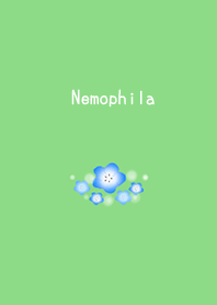 Nemophila 1st