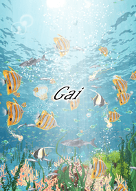 Gai Coral & tropical fish