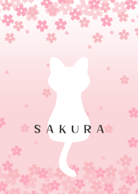 ดอกซากุระฤดูใบไม้ผลิ "ซากุระ" และแมว