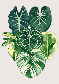 観葉植物 3