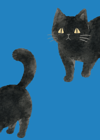 blue　くせあり黒猫06