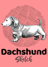 臘腸犬草圖