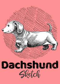 DACHSHUND Sketch