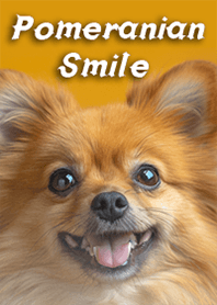 Pomeranian Smile2