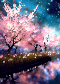 Beautiful night cherry blossoms#584