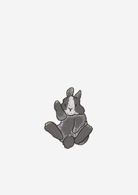 兔