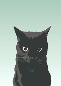 Black cat m