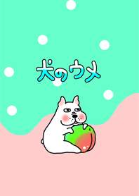 犬のウメ