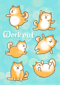 Let's workout with Shiba.