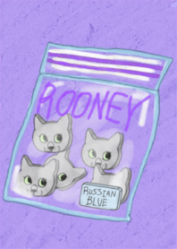 ロシアンブルー ROONEY