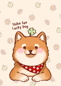 Shiba Inu Lucky Dog