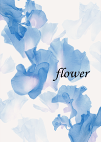 Sweet pea, full of clarity.11.