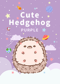 misty cat-Cute Hedgehog Galaxy purple 2