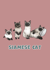 siamesecats3 / pale pink