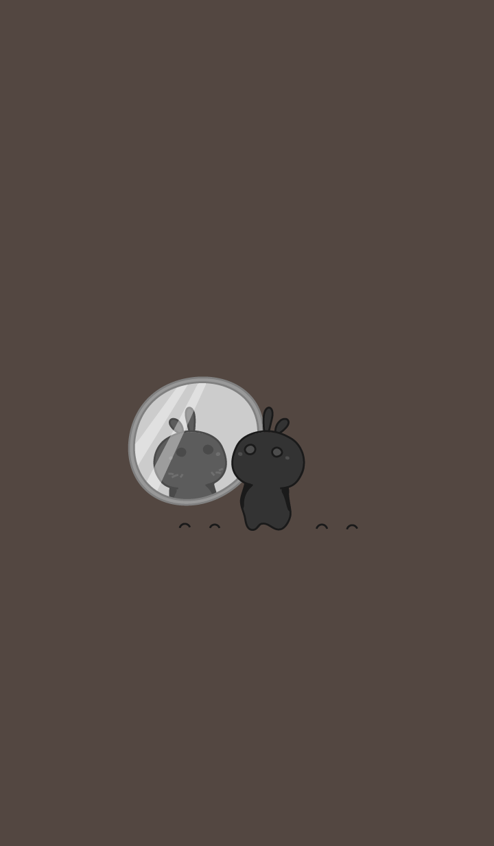 rabbit staring - 148 - mirror