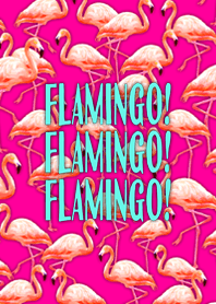 Flamingo! Flamingo! Flamingo! kai