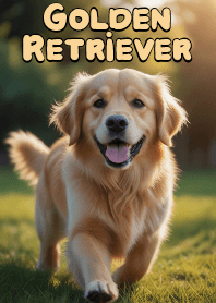 Faithful Great Buddy Golden Retriever 5