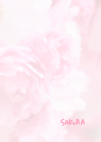 Japanese SAKURA Theme 33
