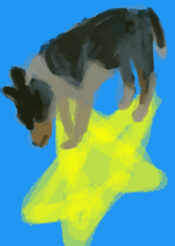 星と犬
