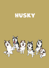 husky1 / ginger