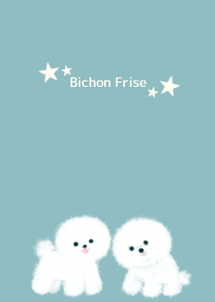 Bichon Frise☆
