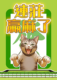 連莊贏麻貓貓祝你發財 發大財 (綠色)