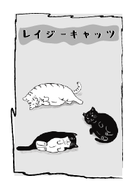 我家的三隻懶貓