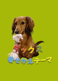 ダックスフンドのリアルテーマ