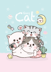 แมวอ้วงๆ