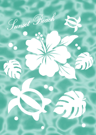 全ての運気が上がるハワイアン着せかえ3