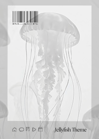 Jellyfish Theme - 003 BK STIC