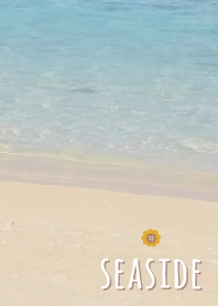 ริมทะเล ทานตะวัน'สีน้ำตาล'