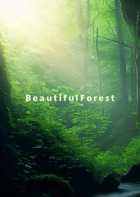 Beautiful Forest-MEKYM- 28