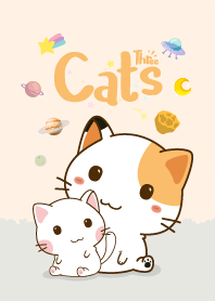 Three Cats Love Orange Pastel