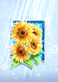 Sunflowers Bathed in Sunlight