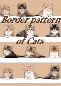 Border pattern of cats - beige