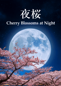 "Cherry Blossoms at Night vol.1" theme