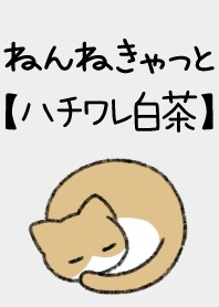 ねんねきゃっと【ハチワレ白茶】