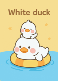 White Duck.